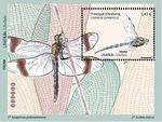 libellule 01